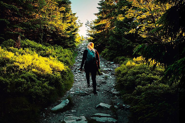 Die Top 7 Sehenswürdigkeiten im Harz