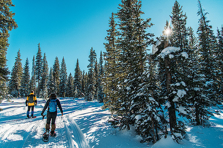 Die besten Tipps fürs Winterwandern