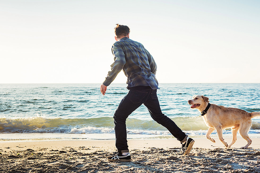 Camping an der Ostsee mit Hund: Hier steht der Kompass auf Spaß!