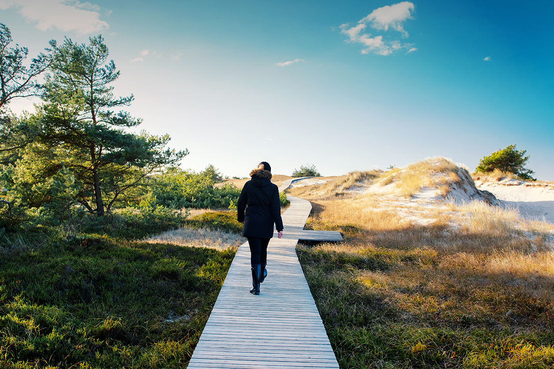 Person auf dem Weg zum Strand beim Ausflug zur Mecklenburgischen Boddenlandschaft