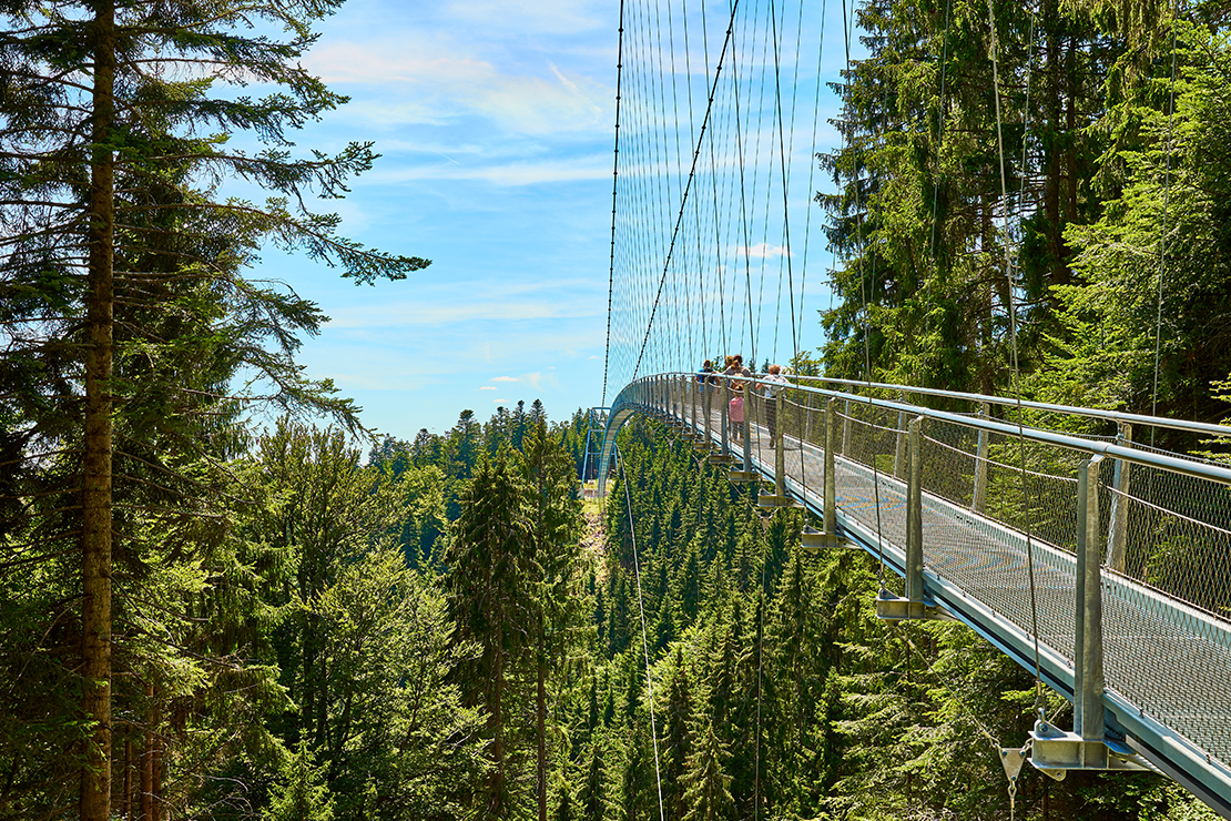 Ausflugstipps Schwarzwald: Die große Brücke im   Baumwipfelpfad Bad Wildbad